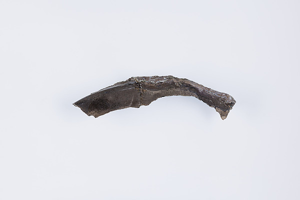 Rim fragment