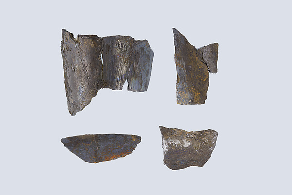 Situla fragments