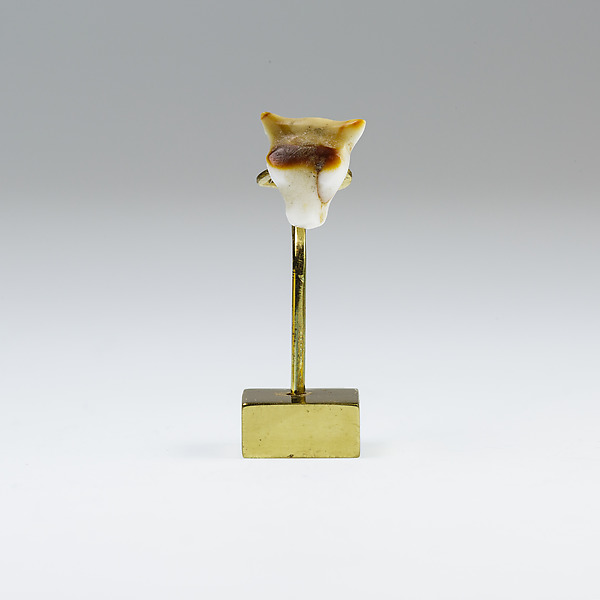 Calf's Head Amulet by an unrecorded maker, The Metropolitan Museum of Art