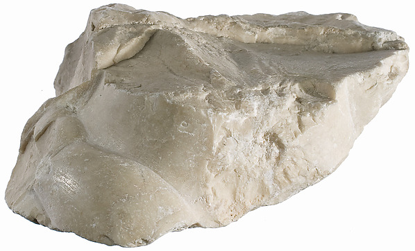 Foot fragment