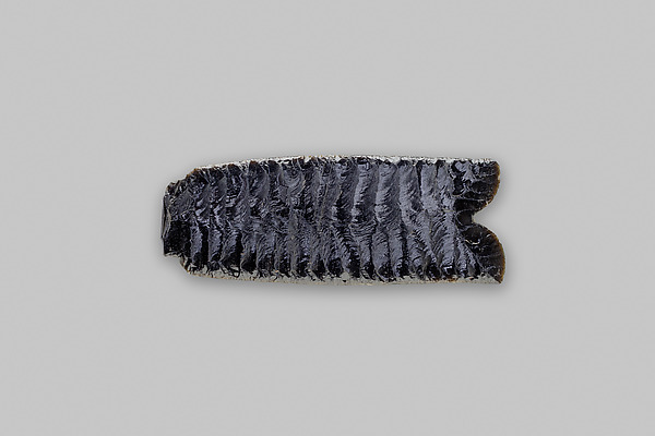 Fishtail Knife