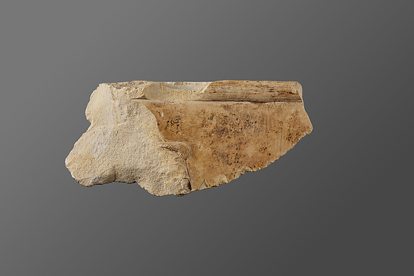 Relief fragment from the tomb of Neferu by an unrecorded maker, The Metropolitan Museum of Art