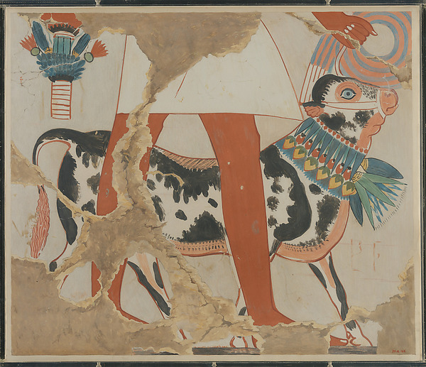 Detail of a Bull from a Procession of Offering Bearers by Hugh R. Hopgood, The Metropolitan Museum of Art
