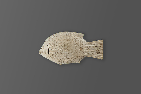 Fish dish
