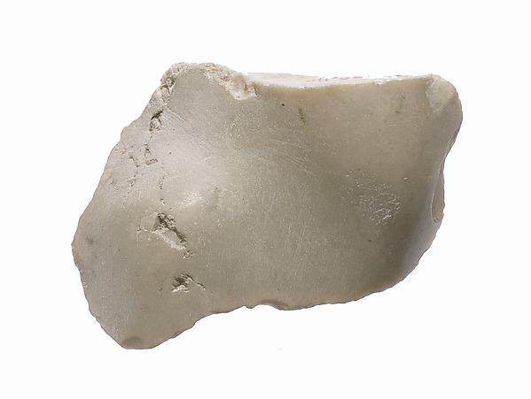 Foot fragment?