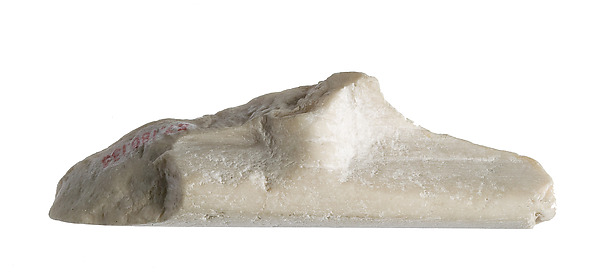 Fragment with unknown elements in high relief, ca. 1347–1330 BCE