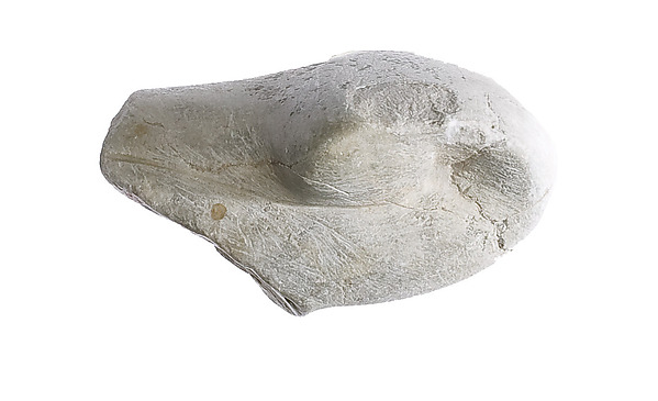 Cobra head, ca. 1347–1330 BCE