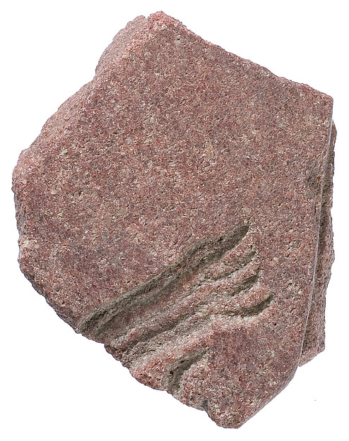 Hand raised in worship adjacent to Aten ray (?)