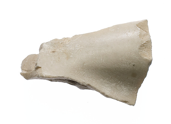 Body, miscellaneous part, Aten cartouche