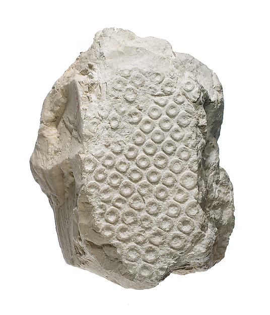 Crown with disks, ca. 1347–1330 BCE
