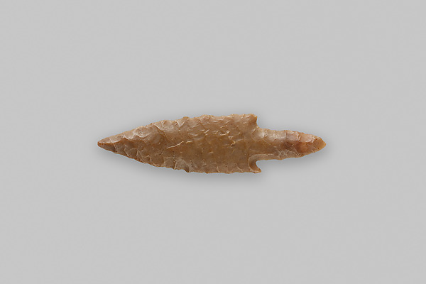 Projectile Point
