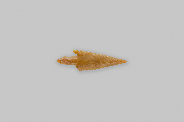 Projectile Point