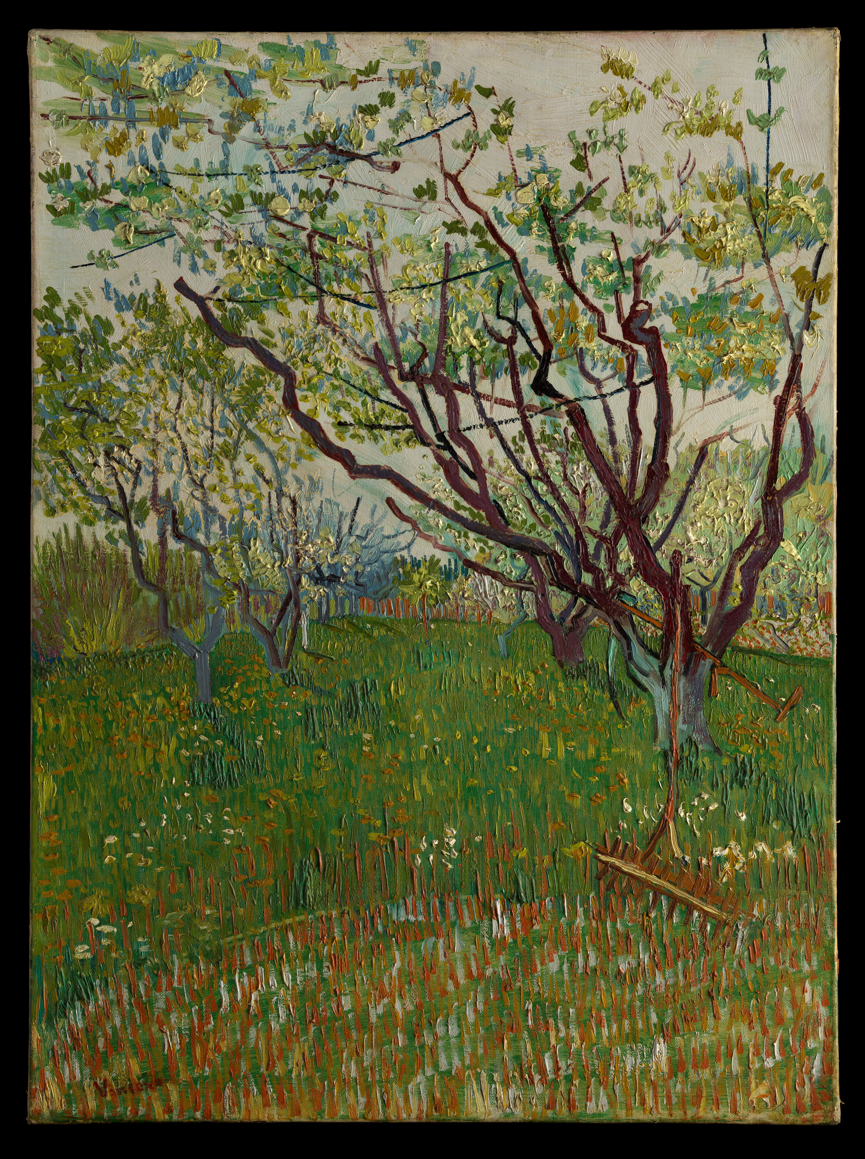 Spiksplinternieuw Vincent van Gogh | The Flowering Orchard | The Met DN-99