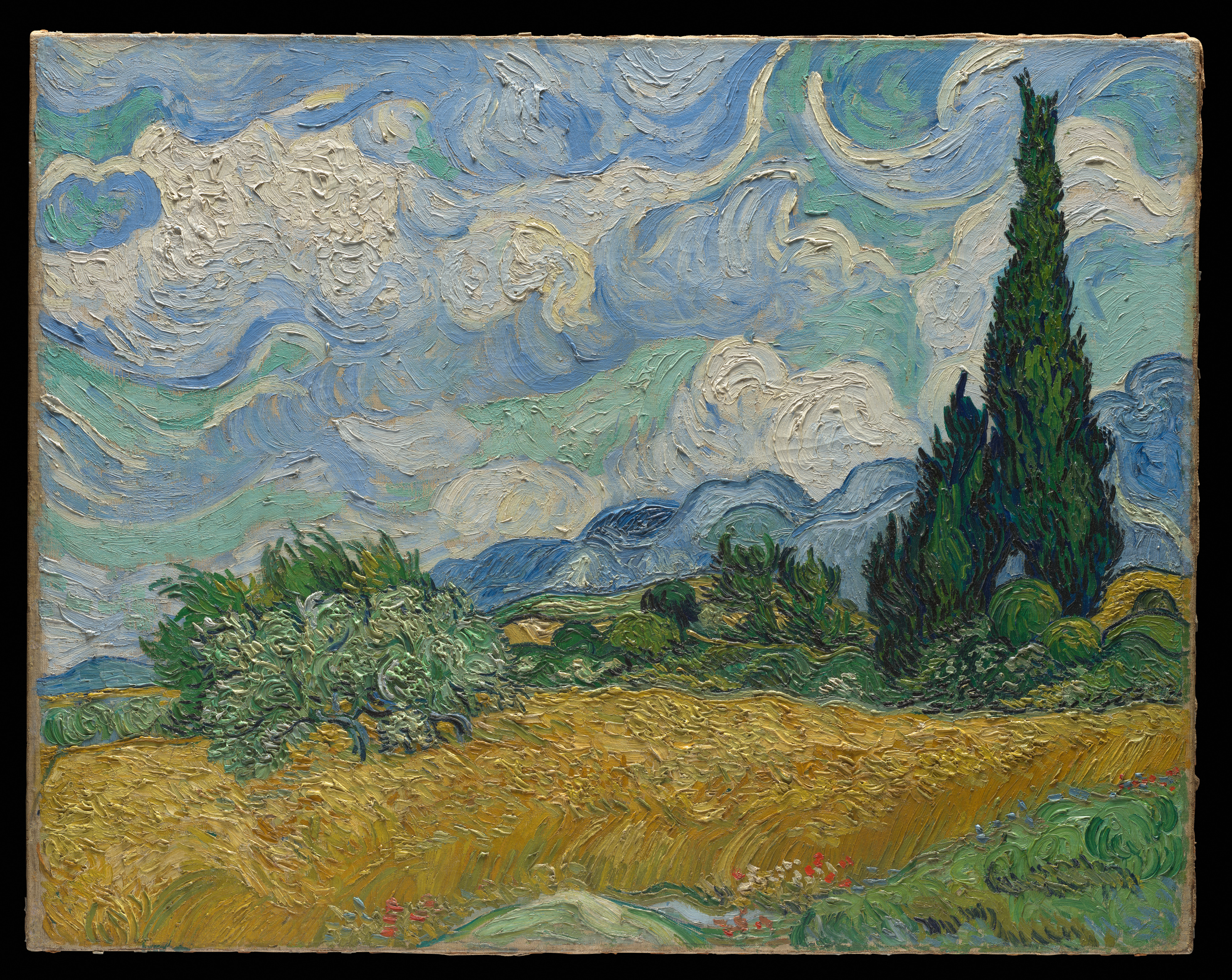 Wheat Field with Cypresses