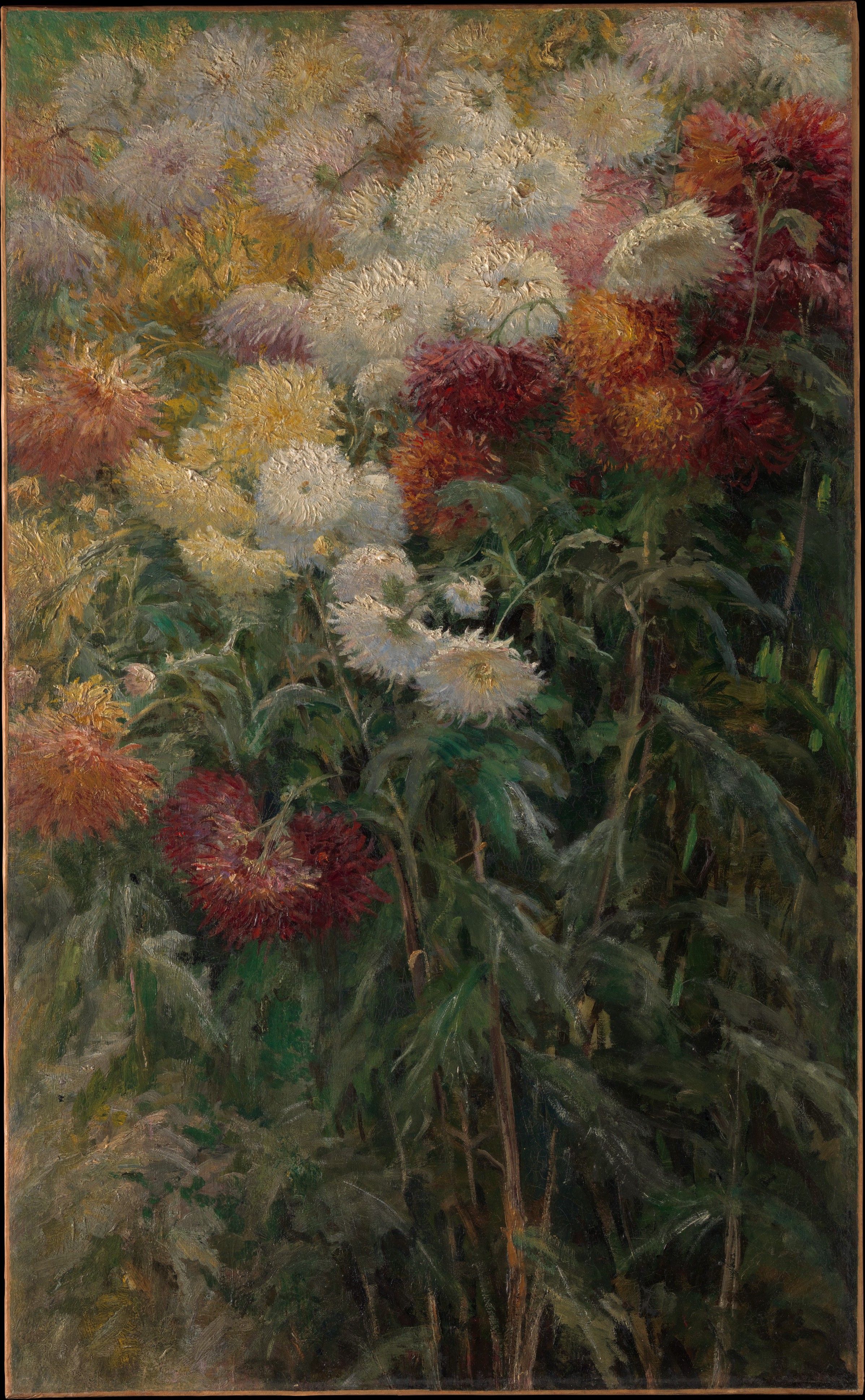 Chrysanthemums in the Garden at Petit-Gennevilliers, Gustave Caillebotte (French, Paris 1848–1894 Gennevilliers), Oil on canvas