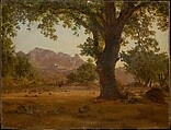 Oak Tree in a Mountainous Landscape, German Painter  German, Oil on paper, laid down on cardboard