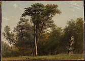 Clearing at the Edge of a Wood, Louis-Auguste Lapito French, Oil on paper, laid down on canvas
