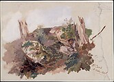 Study of Rocks, Shrubs, and Tree Trunks at Monte Casale near Sansepolcro, Tuscany, Edward Lear  British, Oil with traces of graphite on two pieces of blue paper mounted on canvas