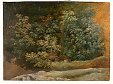 Study of Trees and Bushes, Pierre Henri de Valenciennes or Circle French, Oil on paper