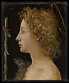 The Young Saint John the Baptist, Piero di Cosimo (Piero di Lorenzo di Piero d'Antonio) (Italian, Florence 1462–1522 Florence), Tempera and oil on wood