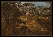 Cedars of Lebanon, Antoine-Alphonse Montfort French, Oil on paper, laid down on canvas