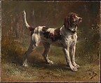 A Limier Briquet Hound, Rosa Bonheur  French, Oil on canvas