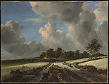 Wheat Fields, Jacob van Ruisdael (Dutch, Haarlem 1628/29–1682 Amsterdam), Oil on canvas