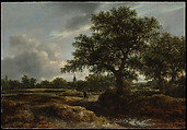 Landscape with a Village in the Distance, Jacob van Ruisdael  Dutch, Oil on wood