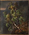 Birch Tree in a Storm, Johan Christian Dahl  Norwegian, Oil on paper, laid down on cardboard