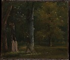 Trees in the Bois de Boulogne, Paris, Achille-Etna Michallon French, Oil on paper, laid down on canvas