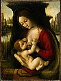 Madonna and Child, Bernardino dei Conti  Italian, Oil on wood