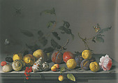 Fruits and Shells on a Ledge, Balthasar van der Ast Dutch, Oil on wood