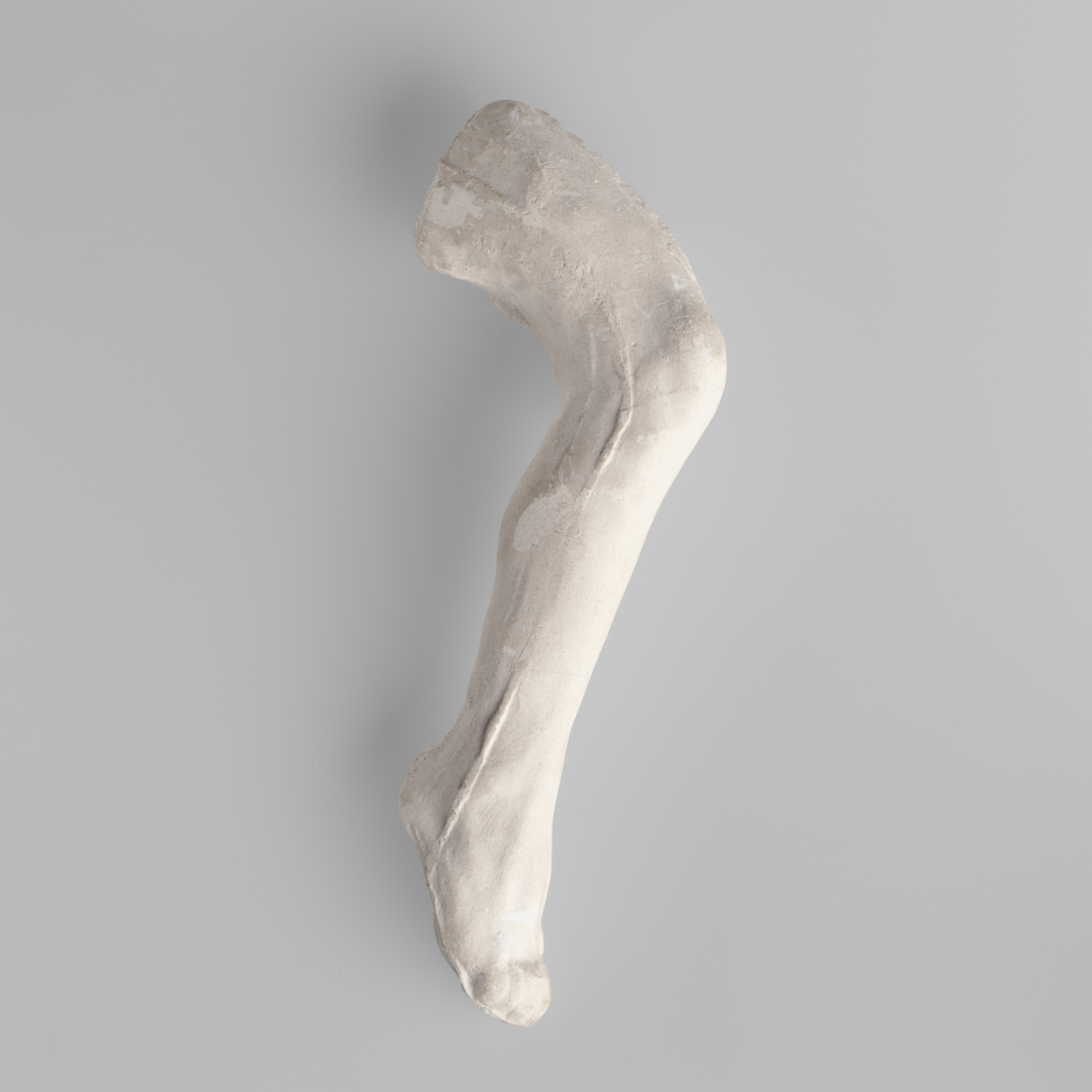 Auguste Rodin | Study of a leg | French | The Metropolitan Museum of Art