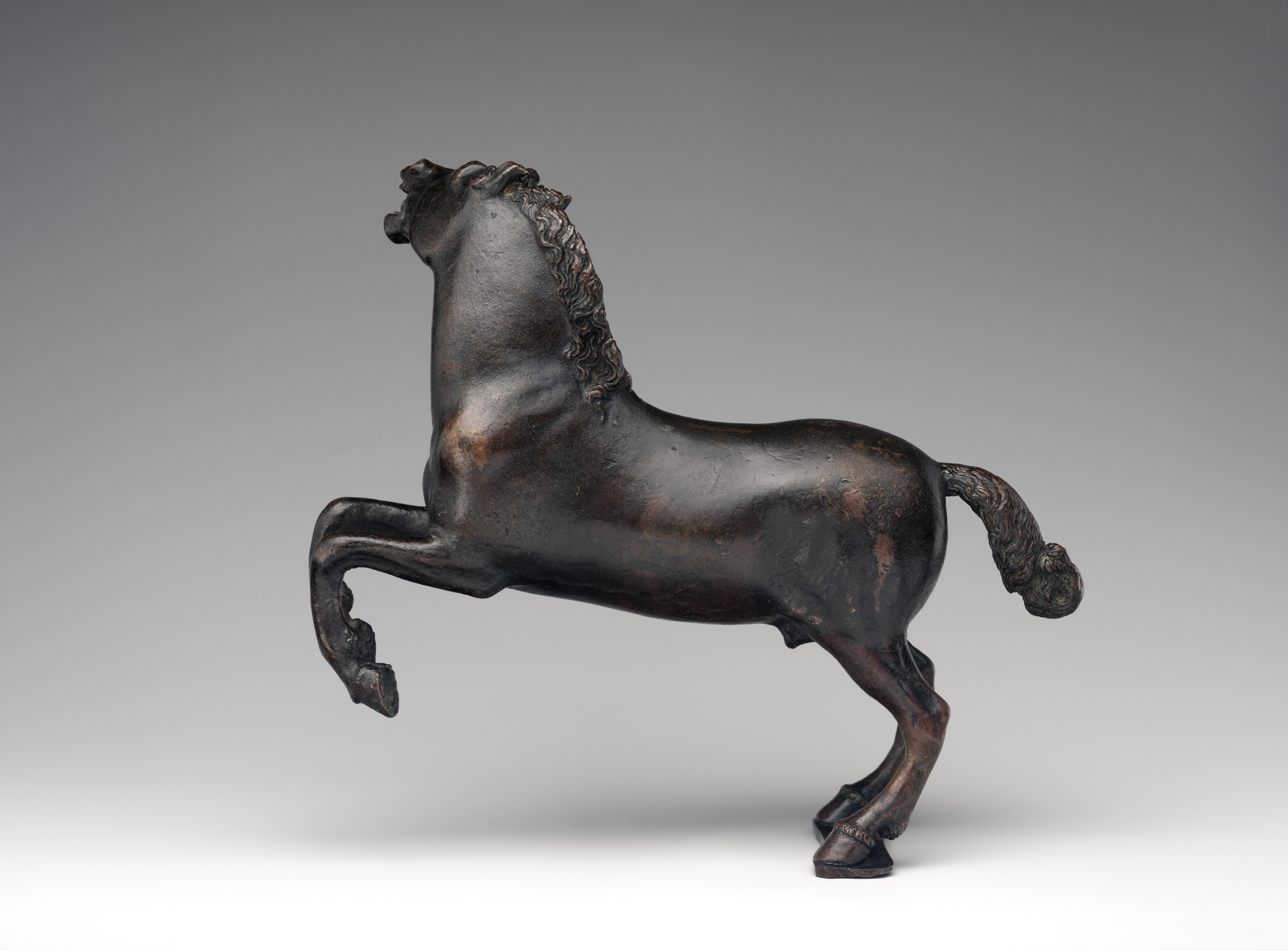 Possibly by Severo Calzetta da Ravenna | Rearing horse | Italian, Padua ...