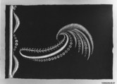 Embroidery sample for a man’s suit, Silk thread on wool, French