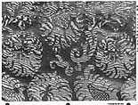 Piece, Silk, Italian