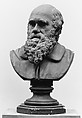 Charles Darwin, Joseph Echteler, Plaster, painted to imitate terracotta; pedestal, painted black, German, Munich