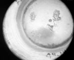 Mustard pot or milk pot, Jean-Baptiste-François Chéret (1728, master 1759, recorded up to 1791), Silver, French, Paris