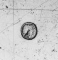 Dish (one of a pair), Silver, French, Paris