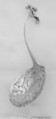 Sugar spoon, Jan Pereboom, Silver, Dutch, Leeuwarden