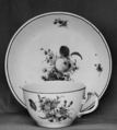 Cup and saucer, The Hague Dutch, Hard-paste porcelain, Dutch, The Hague