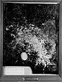 Palette, Honoré Daumier (French, Marseilles 1808–1879 Valmondois), Oil on wood, French