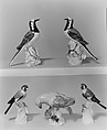 Wagtail (one of a pair), Meissen Manufactory German, Hard-paste porcelain, German, Meissen