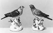 Thrush (one of a pair), Meissen Manufactory  German, Hard-paste porcelain, German, Meissen