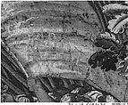 The Colosseum from a set of The Wonders of the World, Designed from prints after Maarten van Heemskerck (Netherlandish, Heemskerck 1498–1574 Haarlem), Wool, silk (18-20 warps per inch, 7-8 cm.), Flemish, Brussels