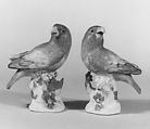 Parrot (one of a pair), Meissen Manufactory  German, Hard-paste porcelain, German, Meissen