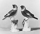 Goldfinch (one of a pair), Meissen Manufactory  German, Hard-paste porcelain, German, Meissen