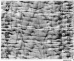 Piece, Silk, cotton, wool, French