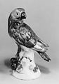 Parrot, Meissen Manufactory  German, Hard-paste porcelain, German, Meissen