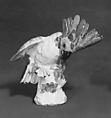 Cockatoo, Meissen Manufactory  German, Hard-paste porcelain, German, Meissen